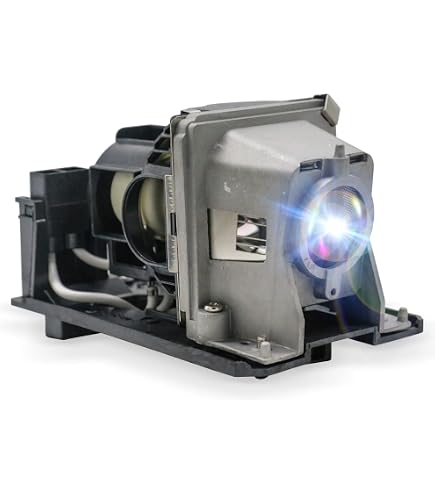 Amazon.com: CTLAMP DT01191 Replacement Projector Lamp w/Housing